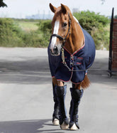 PEI Airtechnology Knee Pro-Tech Horse Travel Boots